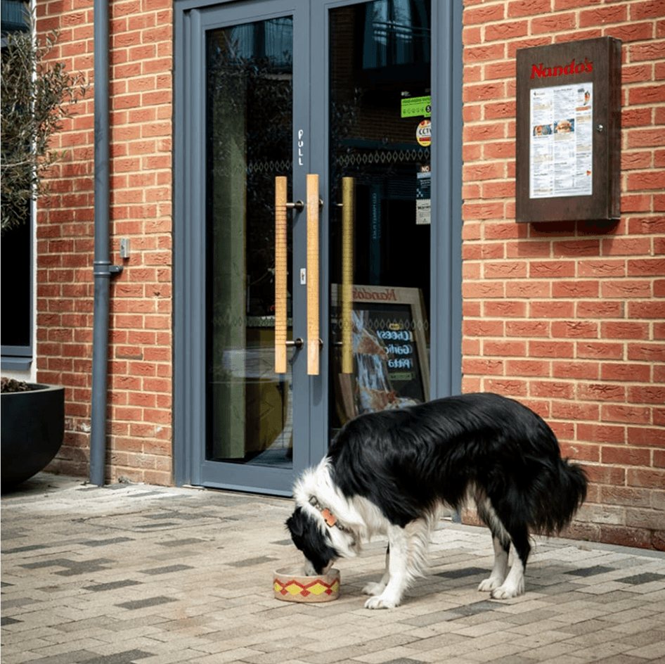 Community_partnership_1